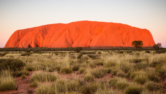 Uluru Field of Lights, 3 Nights - incentive travel companies